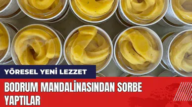 Bodrum mandalinasından sorbe yaptılar