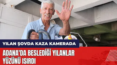Adana'da beslediği yılanlar yüzünü ısırdı