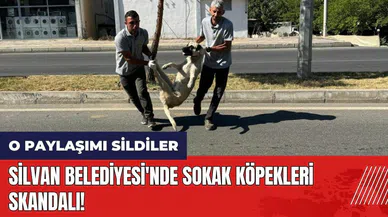 Silvan Belediyesi'nde sokak köpekleri skandalı! O paylaşımı sildiler