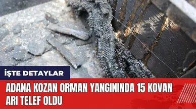 Adana Kozan orman yangınında 15 kovan arı telef oldu