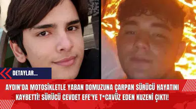 Aydın'da Motosikletle Yaban Domuzuna Çarpan Sürücü Hayatını Kaybetti! Sürücü Cevdet Efe'ye T*cavüz Eden Kuzeni Çıktı!