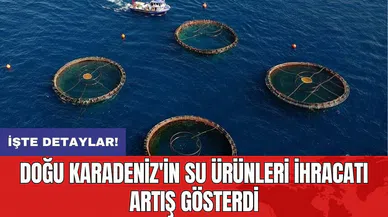 Doğu Karadeniz'in su ürünleri ihracatı artış gösterdi