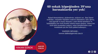 40 sokak köpeğinden 39'una barınaklarda yer yok!