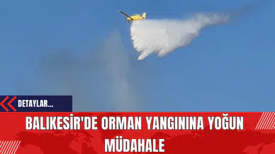 Balıkesir'de Orman Yangınına Yoğun Müdahale