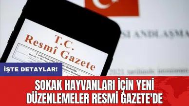 Sokak hayvanları için yeni düzenlemeler Resmi Gazete'de
