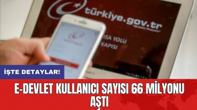 e-Devlet kullanıcı sayısı 66 milyonu aştı