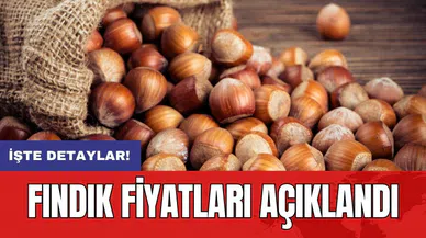 Fındık fiyatları açıklandı