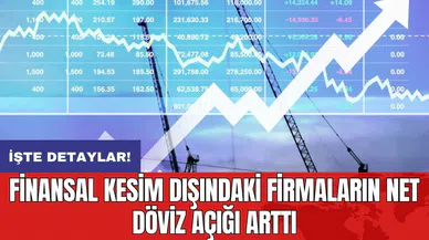Finansal kesim dışındaki firmaların net döviz açığı arttı
