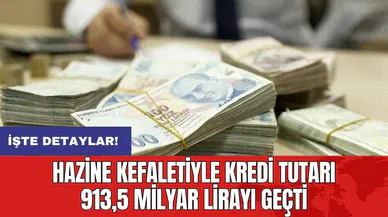 Hazine kefaletiyle kredi tutarı 913,5 milyar lirayı geçti