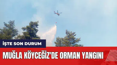 Muğla Köyceğiz'de orman yangını