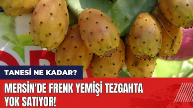 Mersin'de frenk yemişi tezgahta! 1 frenk yemişi kaç lira?