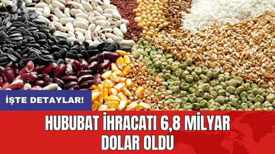 Hububat ihracatı 6,8 milyar dolar oldu