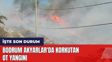 Bodrum Akyarlar'da korkutan ot yangını