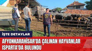 Afyonkarahisar'da çalınan hayvanlar Isparta'da bulundu