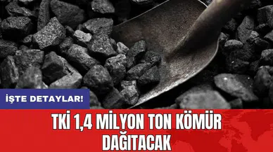TKİ 1,4 milyon ton kömür dağıtacak