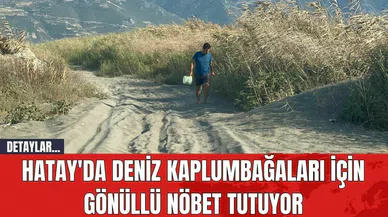 Hatay'da Deniz Kaplumbağaları İçin Gönüllü Nöbet Tutuyor
