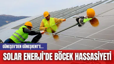 GÜNEŞEV’DEN  GÜNEŞKENT’E… SOLAR ENERJİ’DE BÖCEK HASSASİYETİ