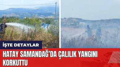 Hatay Samandağ’da çalılık yangını korkuttu
