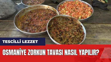Zorkun Yaylası'ndan tescilli lezzet: Osmaniye Zorkun Tavası Nasıl Yapılır?