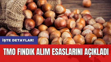 TMO fındık alım esaslarını açıkladı