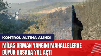 Milas orman yangını mahallelerde büyük hasara yol açtı
