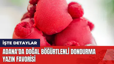 Adana'da doğal böğürtlenli dondurma yazın favorisi