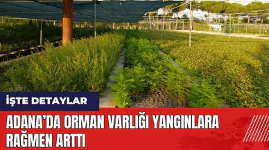 Adana’da orman varlığı yangınlara rağmen arttı