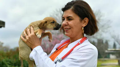 Can dostlar sıcak yuva arıyor