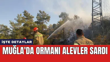 Muğla'da ormanı alevler sardı