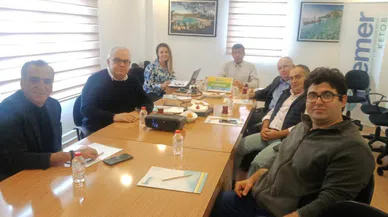 Kedi popülasyon artışı gündemde