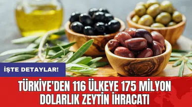 Türkiye'den 116 ülkeye 175 milyon dolarlık zeytin ihracatı