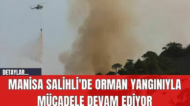Manisa Salihli'de Orman Yangınıyla Mücadele Devam Ediyor