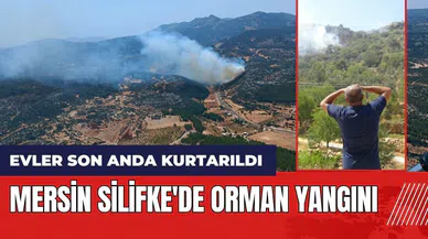Mersin Silifke'de orman yangını! Evler son anda kurtarıldı