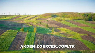 Kayseri Kocasinan'da mahkemeden satılık 2.489 m² tarla