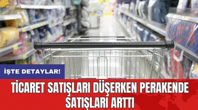 Ticaret satışları düşerken perakende satışları arttı