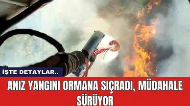 Anız yangını ormana sıçradı, müdahale sürüyor