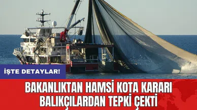 Bakanlıktan hamsi kota kararı balıkçılardan tepki çekti