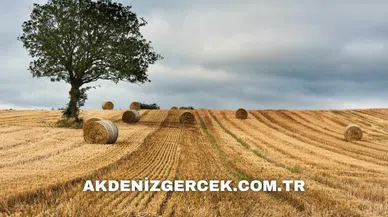 Adana Karaisalı'da mahkemeden satılık 5.265 m² arsa