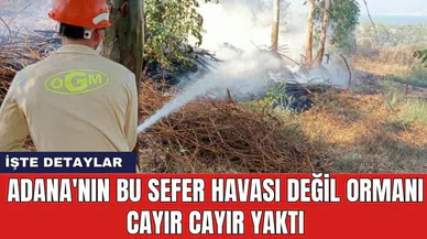 Adana'nın bu sefer havası değil ormanı cayır cayır yaktı