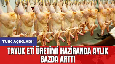 Tavuk eti üretimi haziranda aylık bazda arttı
