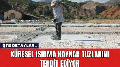 Küresel ısınma kaynak tuzlarını tehdit ediyor