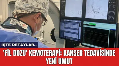 'Fil Dozu' Kemoterapi: Kanser Tedavisinde Yeni Umut