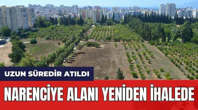 Narenciye Alanı Yeniden İhalede! Uzun Süredir Atıl Durumdaydı