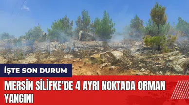 Mersin Silifke'de 4 ayrı noktada orman yangını