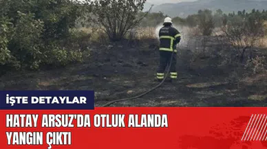 Hatay Arsuz'da otluk alanda yangın çıktı