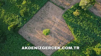 Mersin Mut'ta mahkemeden satılık 12.775 m² arsa