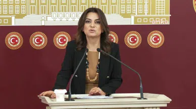 Gülistan Kılıç Koçyiğit kimdir? Nereli? Kaç Yaşında?
