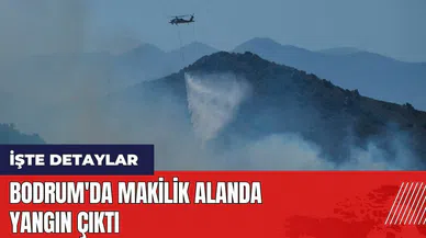Bodrum'da makilik alanda yangın çıktı