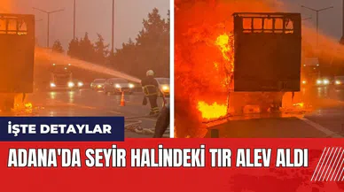 Adana'da seyir halindeki tır alev aldı