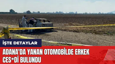 Adana'da yanan otomobilde erkek ces*di bulundu